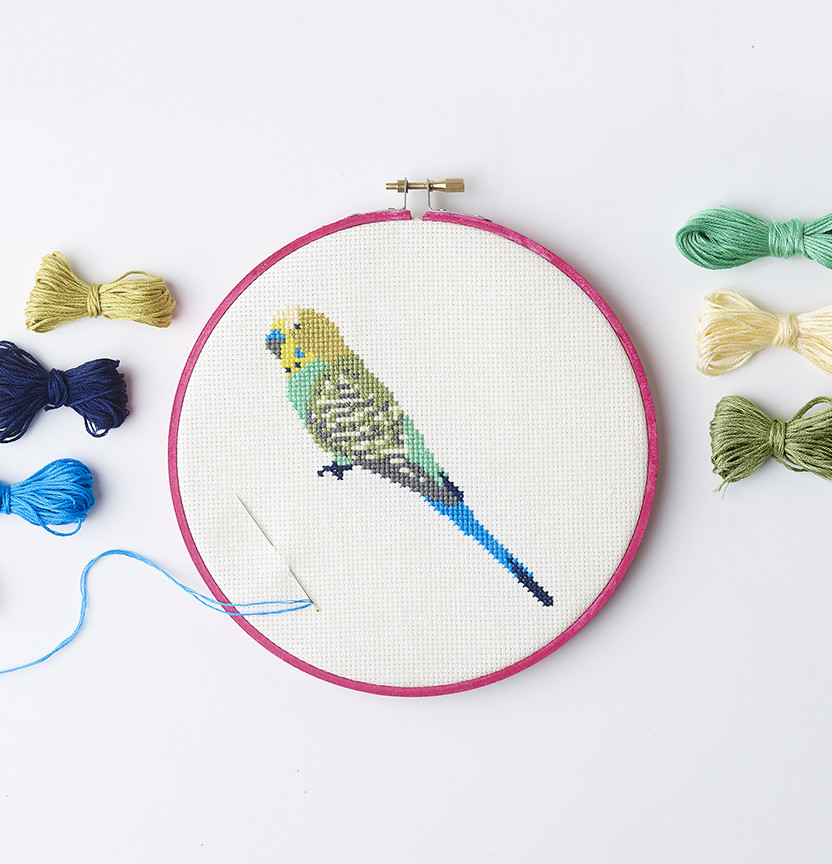 Budgie Embroidery On Aida Cloth Project