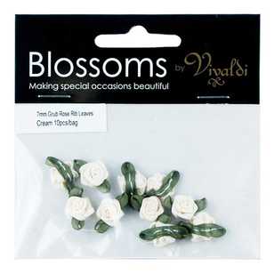 Vivaldi Blossoms Grub Roses With Ribbon Leaves Cream 10 mm