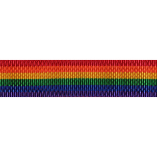 Simplicity Simple Belting Rainbow 38 mm