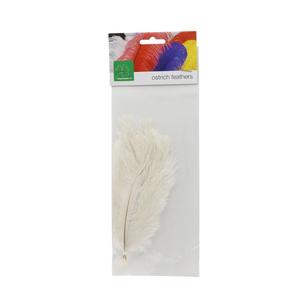 Shamrock Craft Small Ostrich Plumes 5 Pack White Small