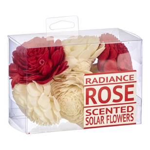 Radiance Boxed Sola Flowers red