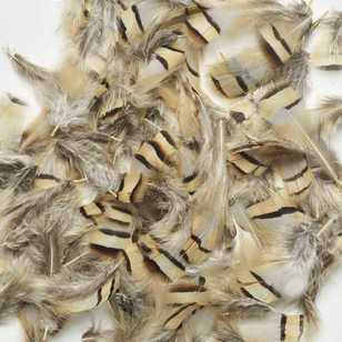 Natural Pheasant Feathers Natural 7 g