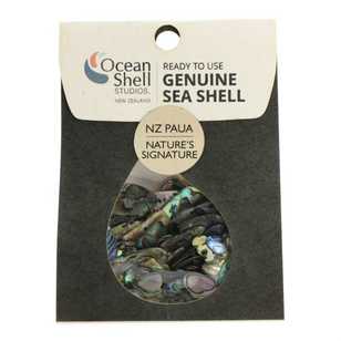 Nz Abalone Paua Shell Emerald Green Lumea Formed By The Ocean