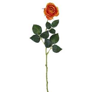 Single Rose Stem Orange