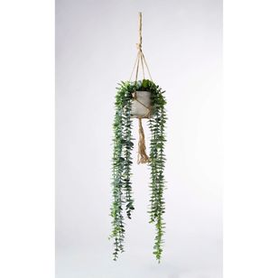 105 cm String of Pearls in Hanging Pot Green 105 cm