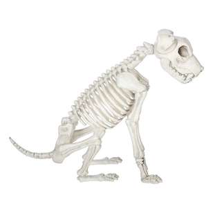 Spooky Hollow Skeleton Dog Sitting Natural