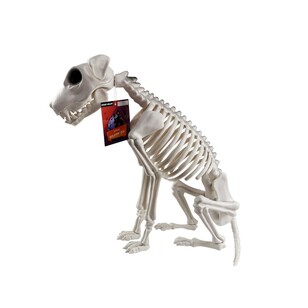 Spooky Hollow Skeleton Dog Sitting Natural