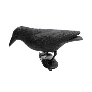 Spooky Hollow Black Crow with Stake Black