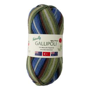 Naturally Gallipoli 4 Ply Print Yarn Amazon 100 g