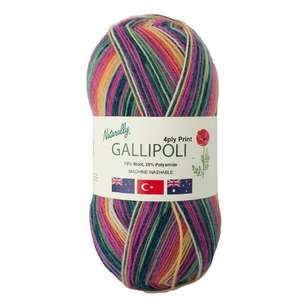 Naturally Gallipoli 4 Ply Print Yarn Spring 100 g