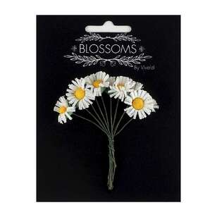 Vivaldi Blossoms 10 Pack Daisy Flower White 15 mm