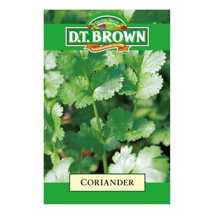 DT Brown Seeds Coriander Multicoloured