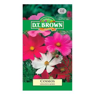 DT Brown Seeds Cosmos Sensation Mixed Multicoloured