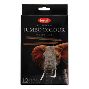 Jasart Studio 12 Pack Jumbo Colour Pencil Set Multicoloured