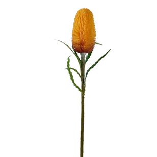 70 cm Dry Look Protea  Yellow & Mauve 70 cm