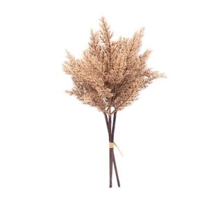 34 cm Faux Dried Pampas Bundle  Natural 23 x 34 cm