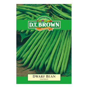 DT Brown Dwarf Bean Seeds Multicoloured