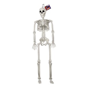 Spooky Hollow Poseable Skeleton 90 cm