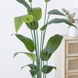 Emerald Hill Large Banana Leaf Plant Green 170 cm