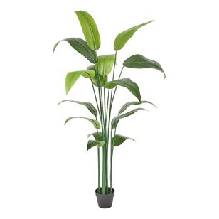 Emerald Hill Large Banana Leaf Plant Green 170 cm