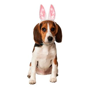 Bunny Ears Pet Accessory White & Pink