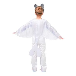 Dreamworks Light Fury Deluxe Kids Costume Multicoloured