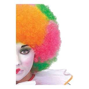 Clown Multicoloured Neon Adult Wig Multicoloured Adult