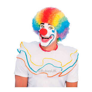 Clown Rainbow Adult Wig Multicoloured Adult