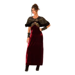 Medieval Lady Costume Multicoloured