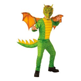 Dragon Deluxe Kids Costume Multicoloured Small