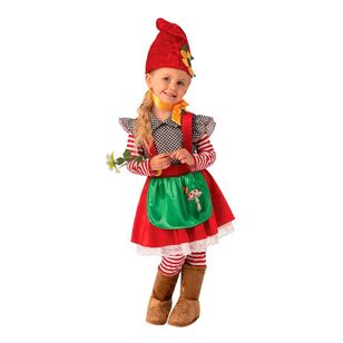 Garden Gnome Girl Costume Multicoloured