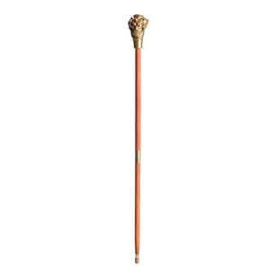 The Joker Cane Multicoloured