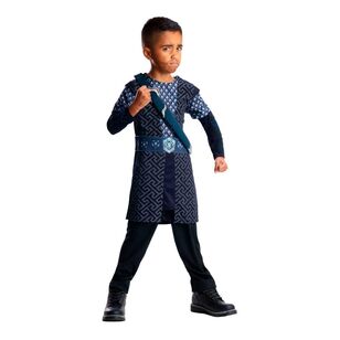 The Hobbit Thorin Deluxe Kids Costume Blue