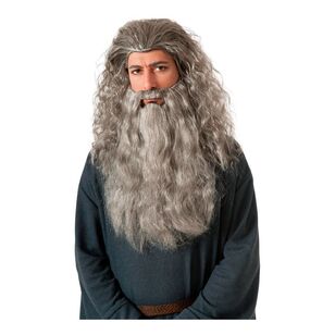 Lord Of The Rings Gandalf Adult Beard Kit Multicoloured Adult