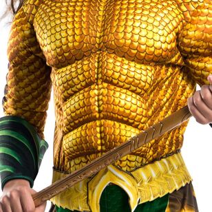 DC Comics Aquaman Deluxe Adult Costume Multicoloured