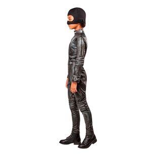 Selina Kyle Catwoman Deluxe Adult Costume Multicoloured