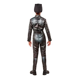 Selina Kyle Catwoman Deluxe Adult Costume Multicoloured