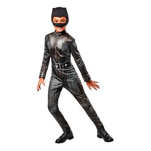 Selina Kyle Catwoman Deluxe Adult Costume Multicoloured