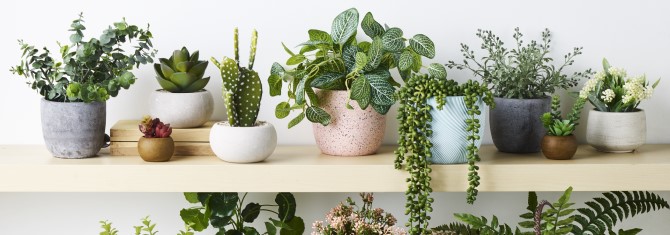 How To Choose Artifical Plants & Flowers For Your Home