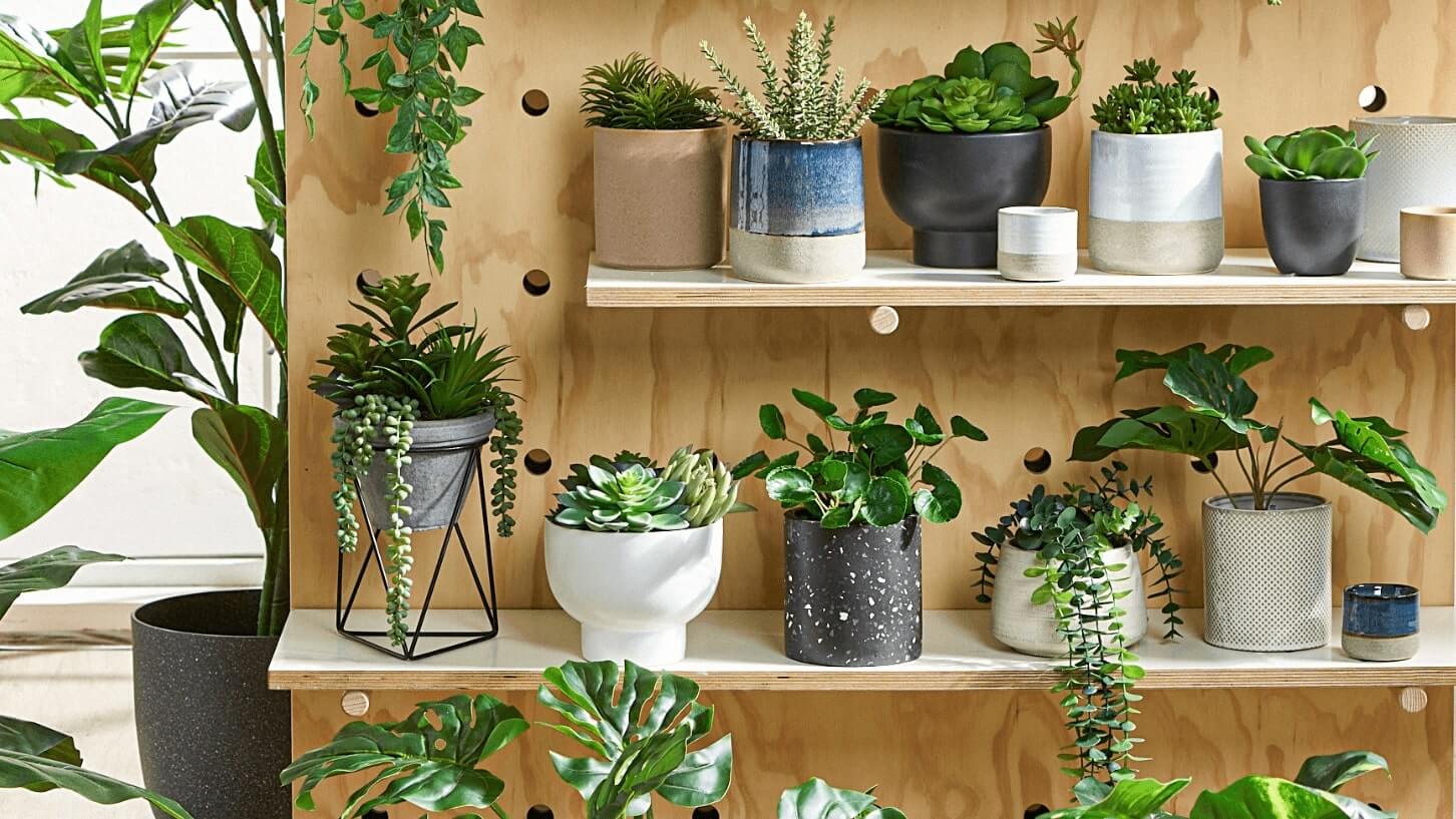 Indoor Artificial Plants