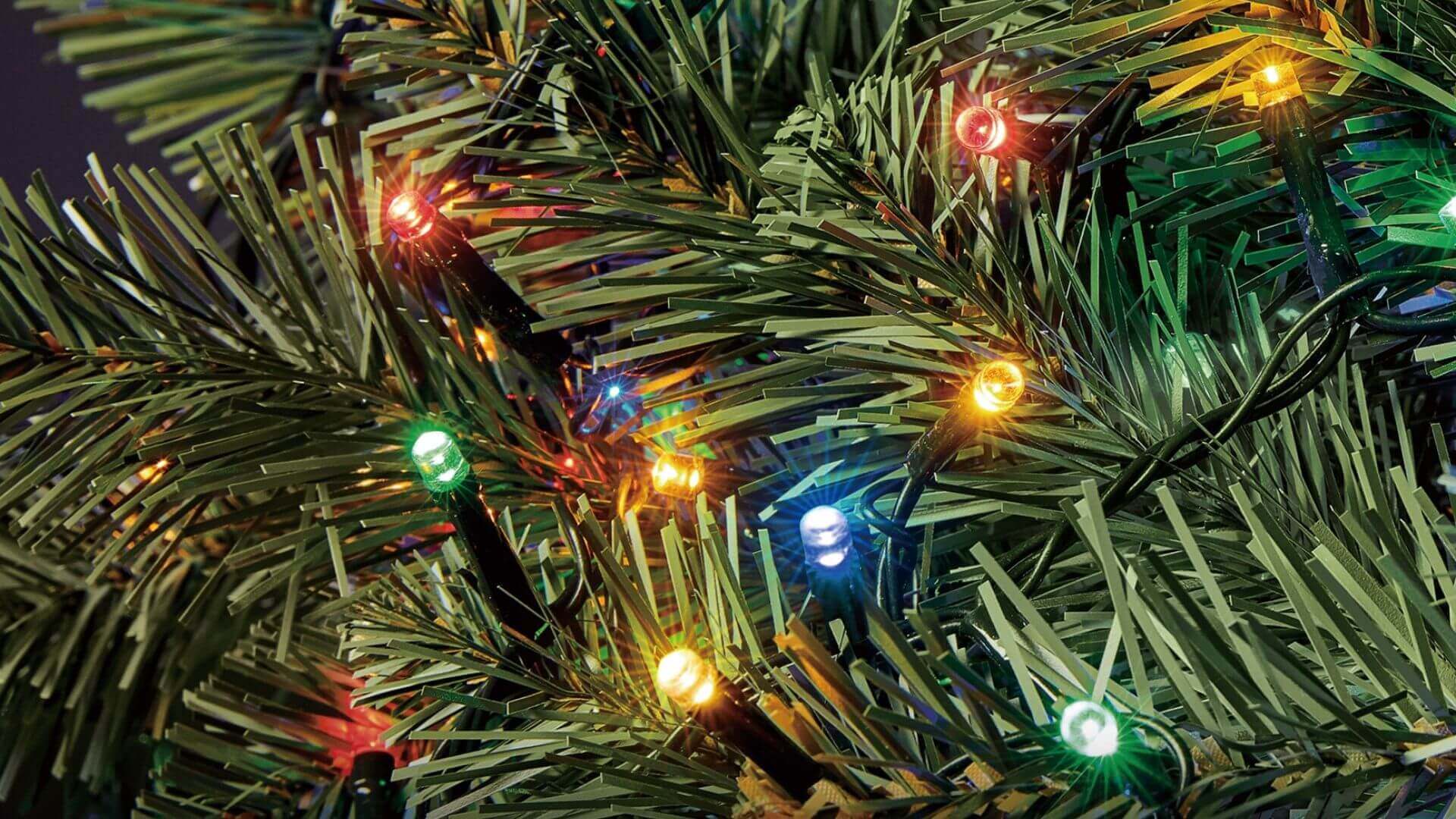 Close up of Christmas tree string lights