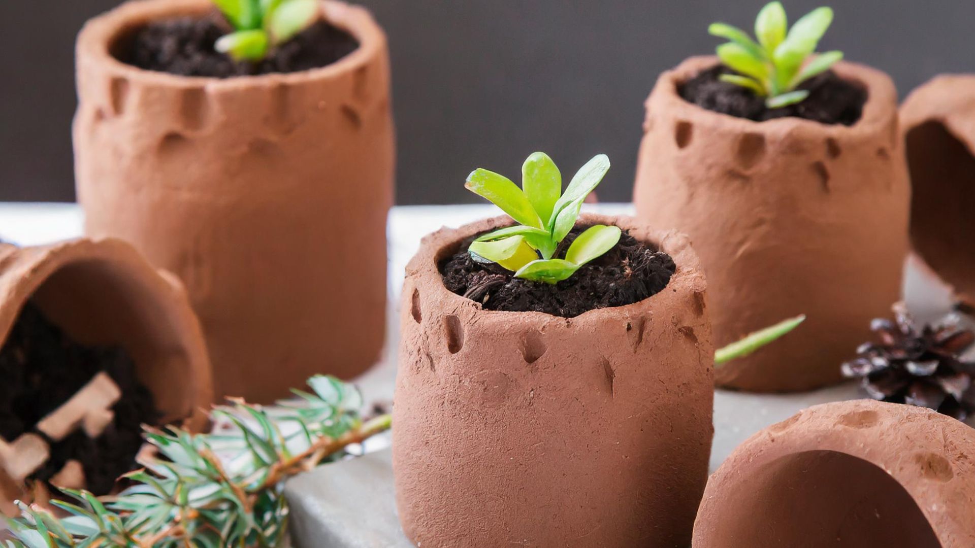 Mini Planters Air Dry Clay Project