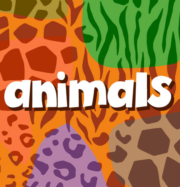 Animals