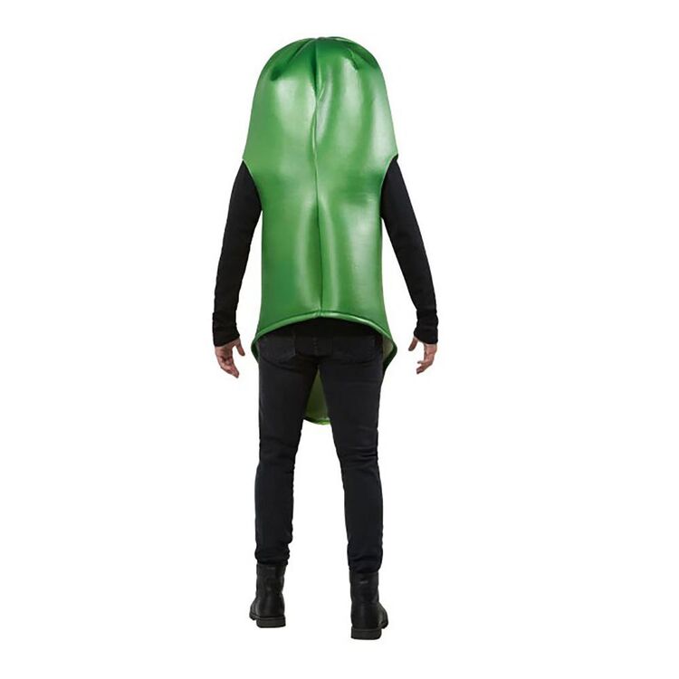 Rick And Morty - Pickle Rick Costume Multicoloured