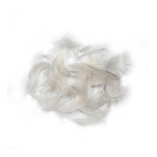 Shamrock Craft Duck Feathers Natural 2 g