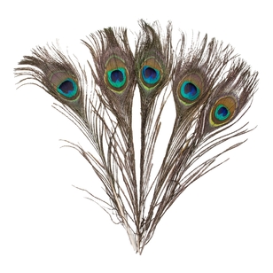 Shamrock Craft Peacock Eyes Natural