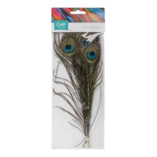 Shamrock Craft Peacock Eyes Natural