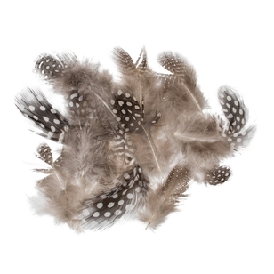 Shamrock Craft Polka Dot Feathers Natural 2 g