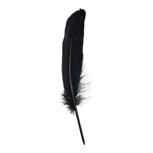 Crafters Choice Large Quill Feathers Black 10 g