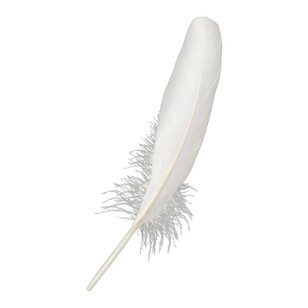 Crafters Choice Large Quill Feathers White 10 g